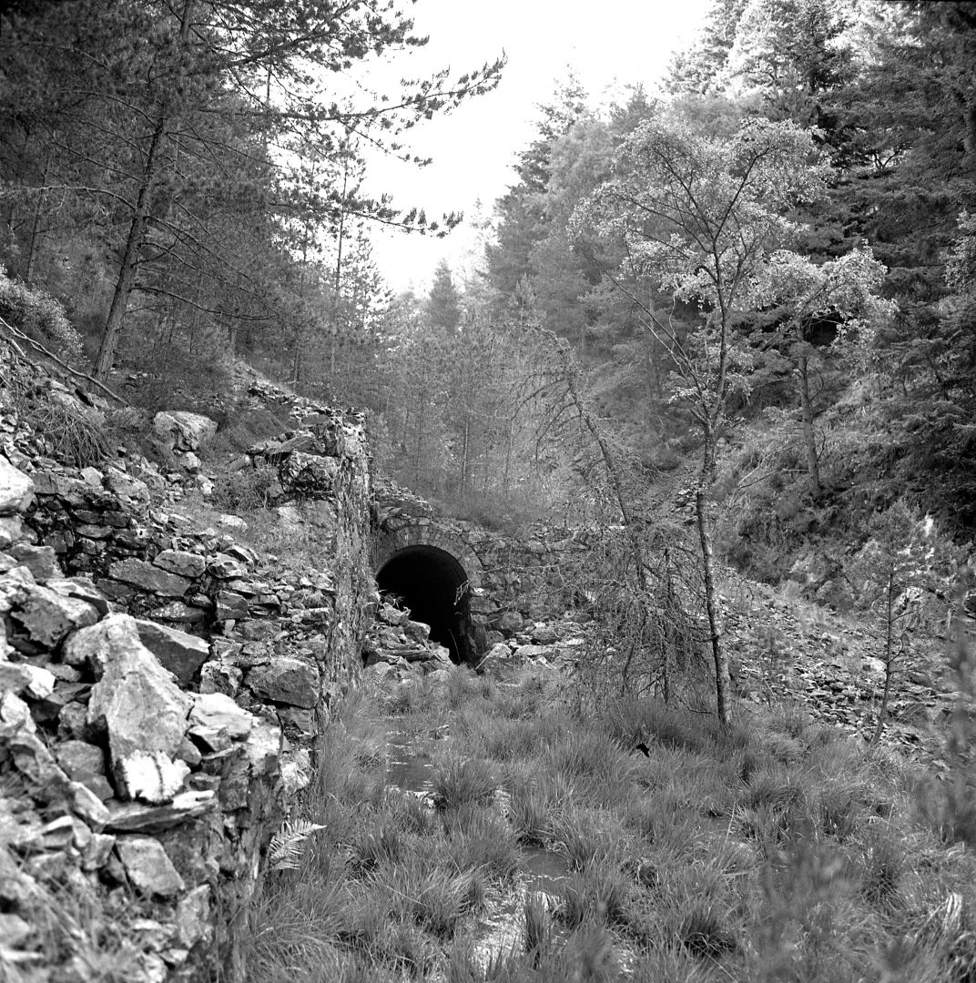 Bottom adit Aberllyn M June78, submitted by Dickie Bird on 14-03-2026.
© Richard Bird Bottom adit Aberllyn M June78